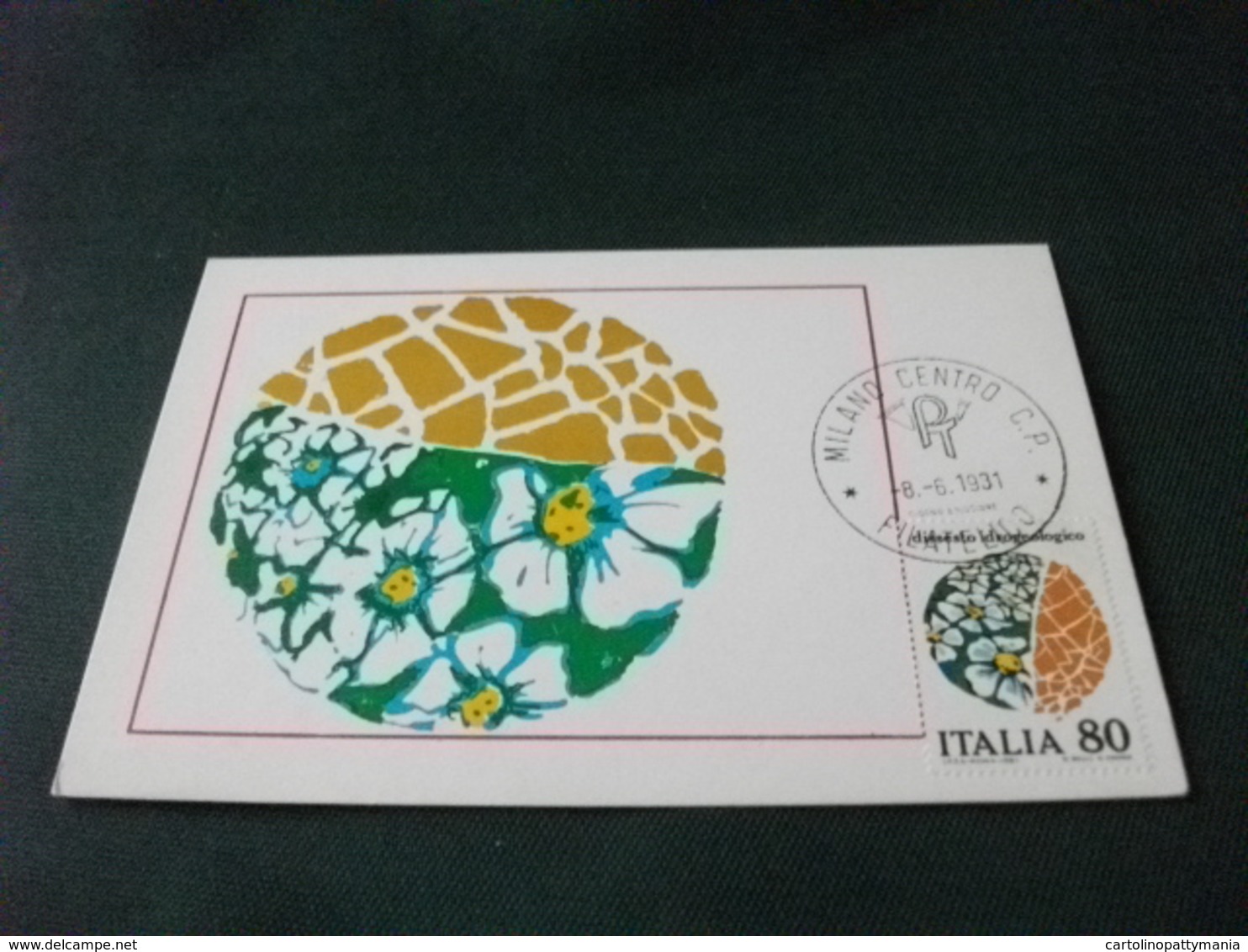 CARTOLINA POSTALE DISSESTO IDROGEOLOGICO 1981 - Inondazioni