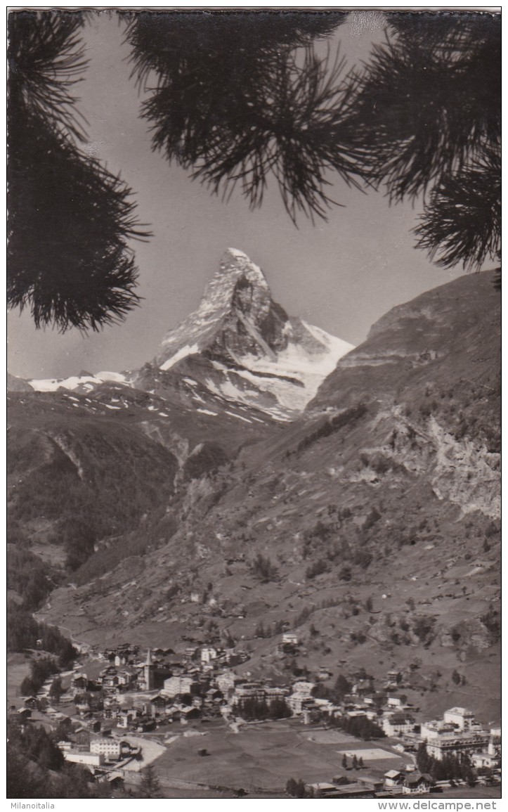 Zermatt Mit Matterhorn (82) * 29. 8. 1951 - Zermatt