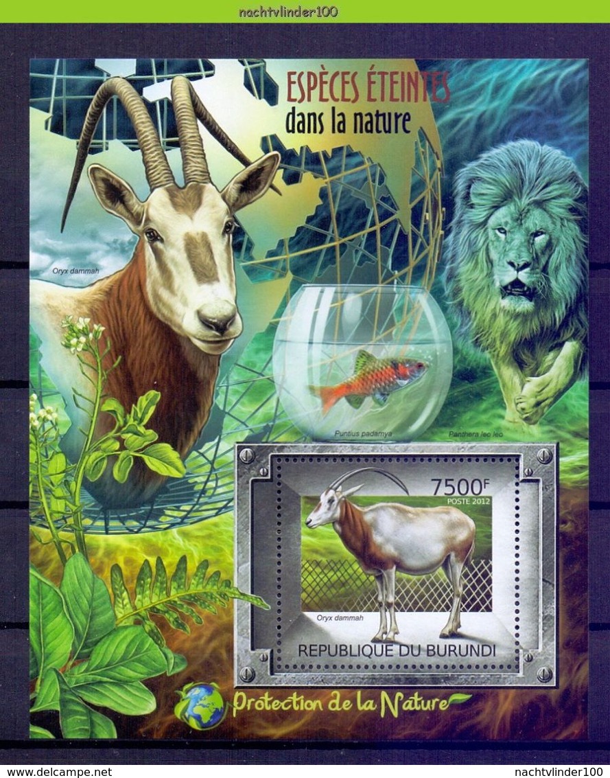 Nep078 FAUNA ZOOGDIEREN KAT LEEUW VIS PROTECTION LION CAT ORYX FISH MAMMALS WILDLIFE Michel 241 BURUNDI 2012 PF/MNH # - Wild