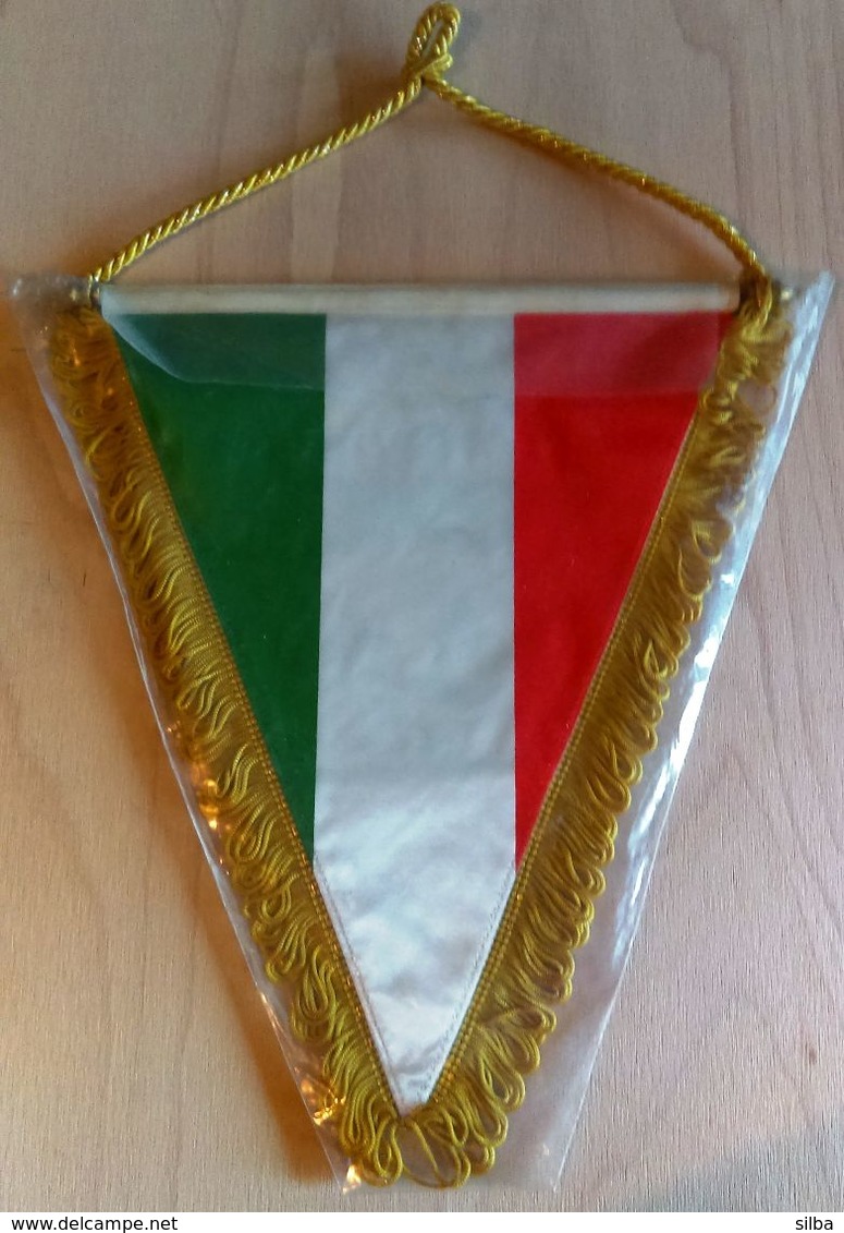 Swimming / Flag, Pennant / Swimming Federation Of Italy / Sincro - Natación