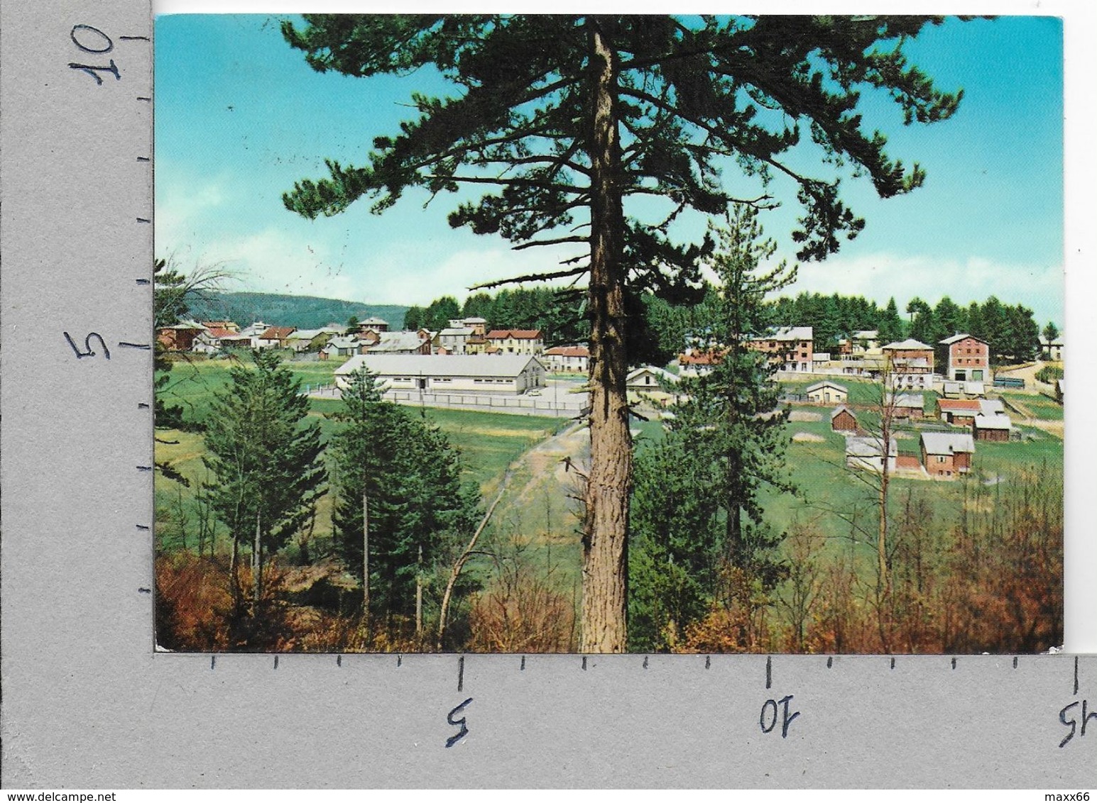 CARTOLINA VG ITALIA - CAMIGLIATELLO SILANO (CS) - Spezzano Della Sila - 10 X 15 - ANN. 1966 - Cosenza