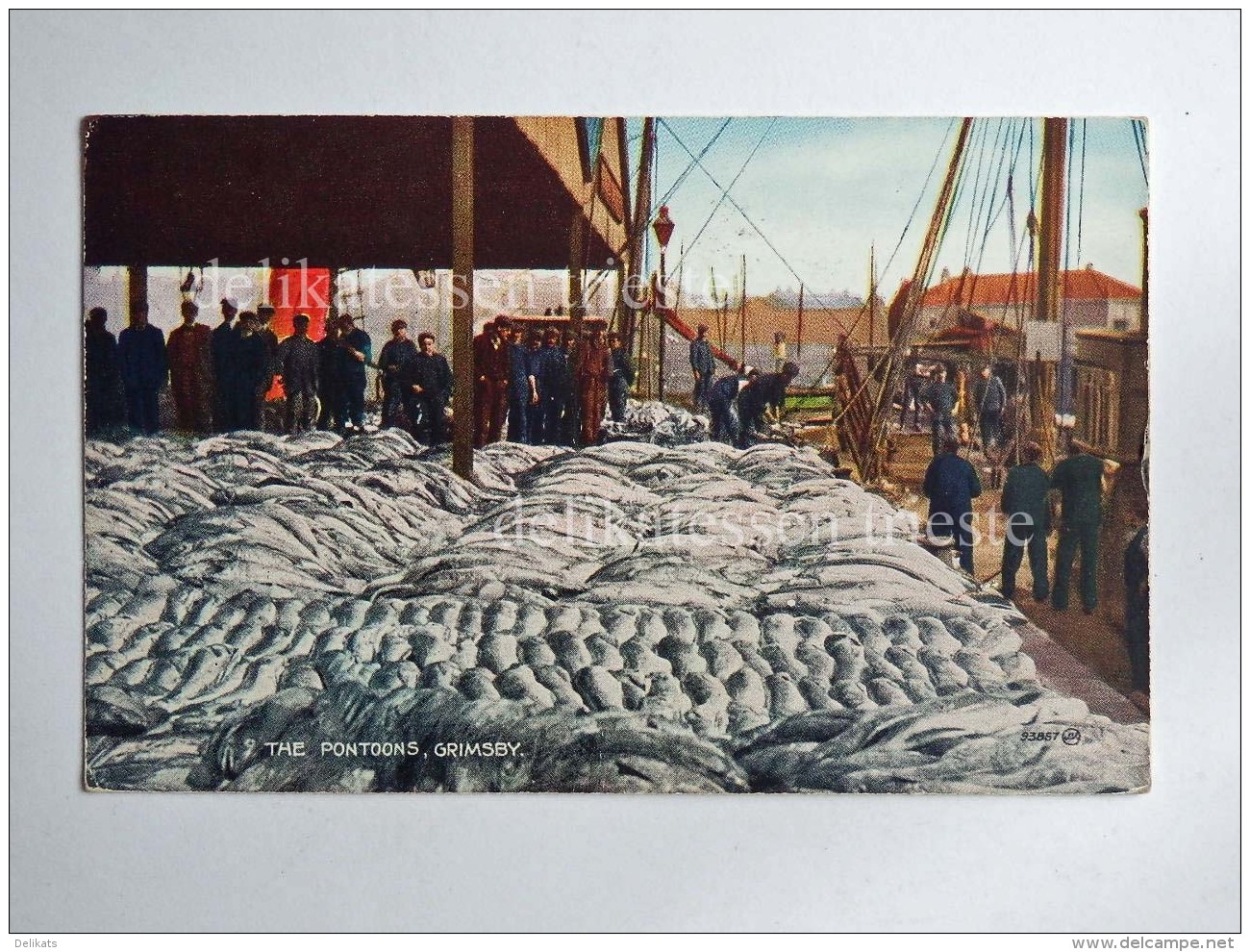 UK Lincolnshire The Pontoons Grimsby  Fish Fisherman Old Postcard - Andere & Zonder Classificatie