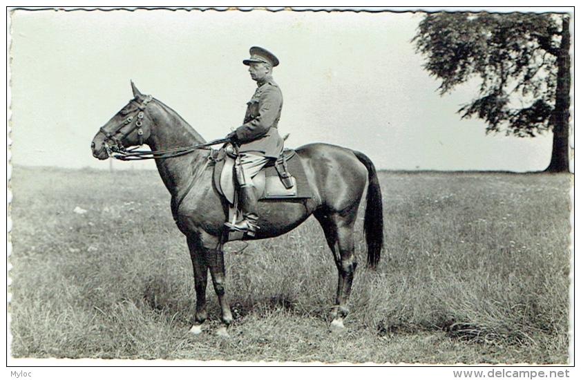 Carte Photo. Militaria. Officier Identifié à Cheval. - Guerre, Militaire