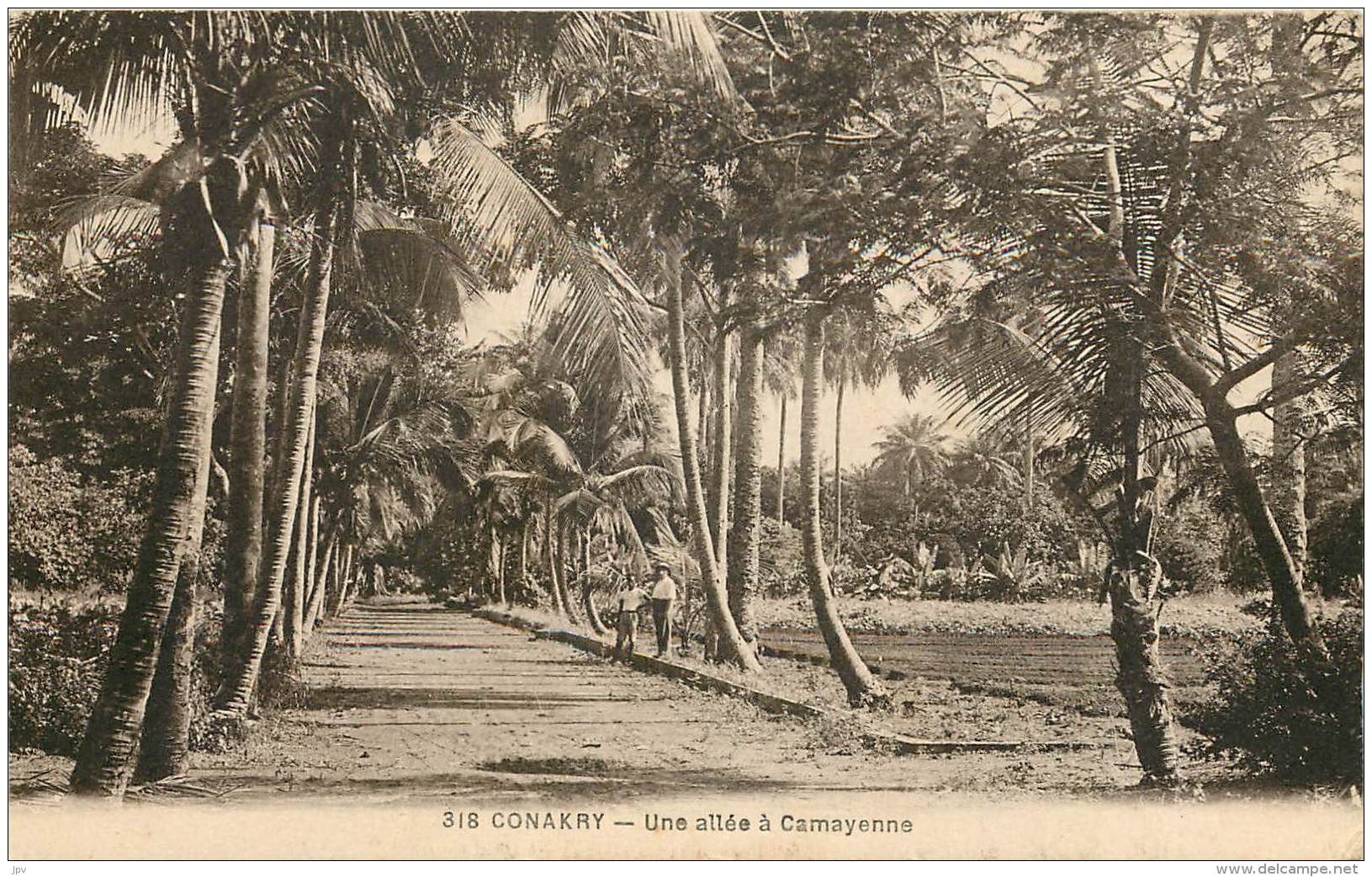 CONAKRY - Une Allée à Camayenne - Equatorial Guinea