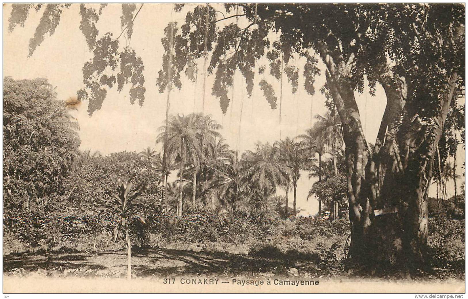 CONAKRY - Paysage à Camayenne - Guinée Equatoriale