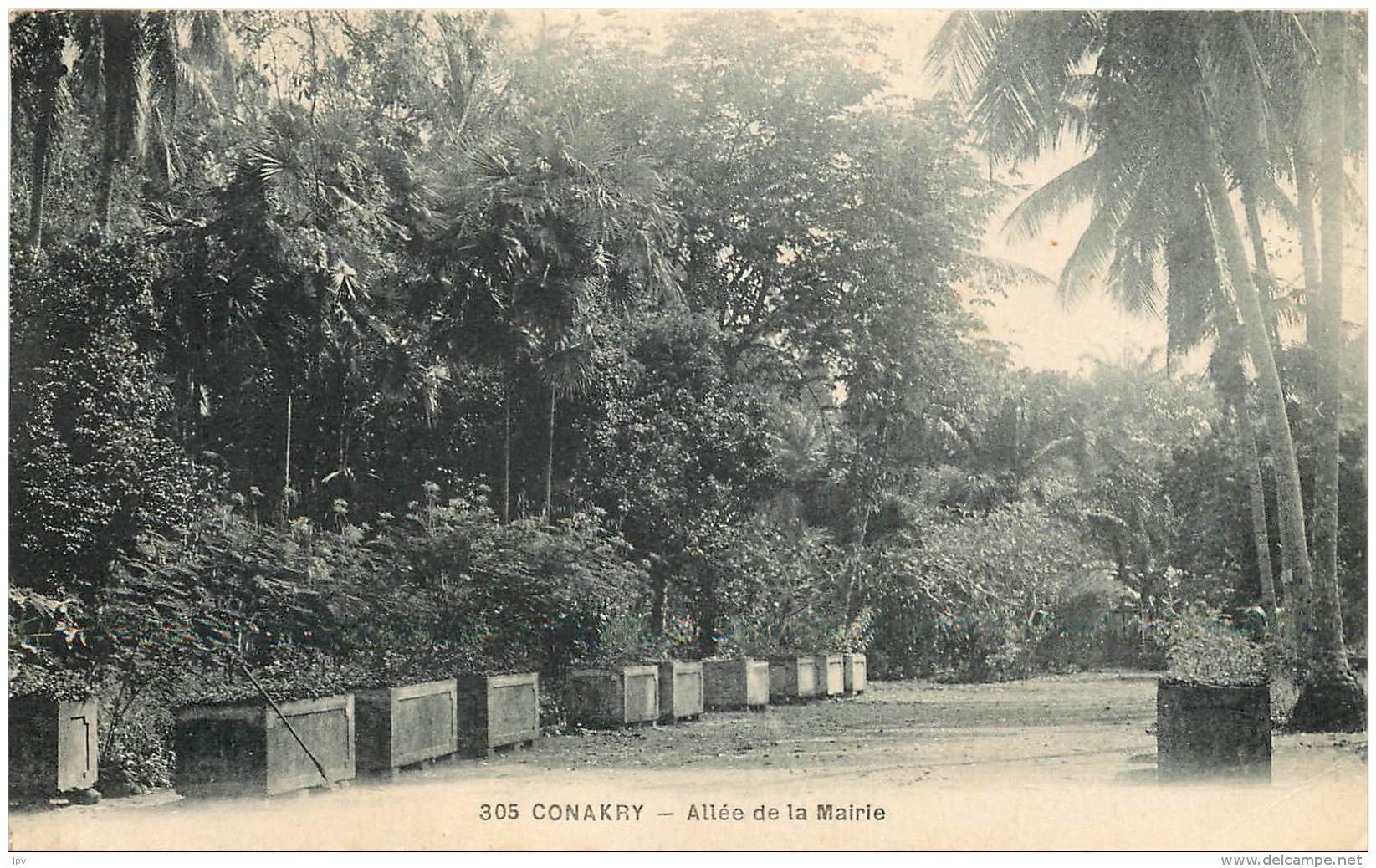CONAKRY - Allée De La Mairie - Äquatorial-Guinea