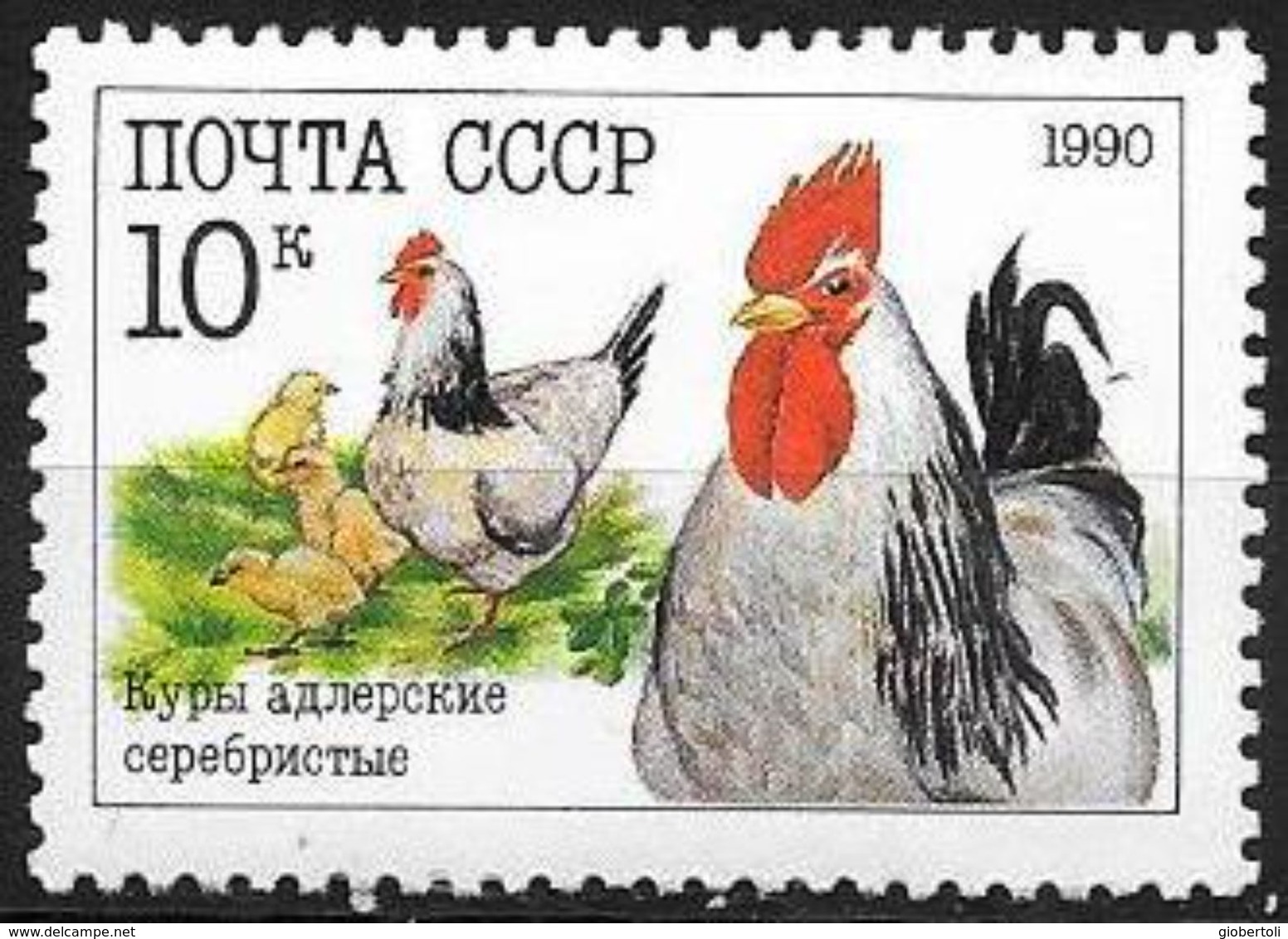 URSS: Gallo Gallina E Pulcini, Poule Coq Et Poussins, Rooster Hen And Chicks - Fattoria