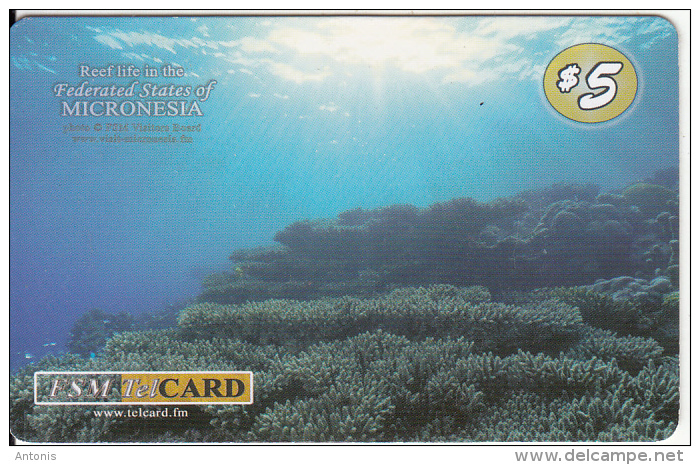 MICRONESIA - Reef Life In Micronesia, FSM Tel Prepaid Card $5, Used - Micronésie