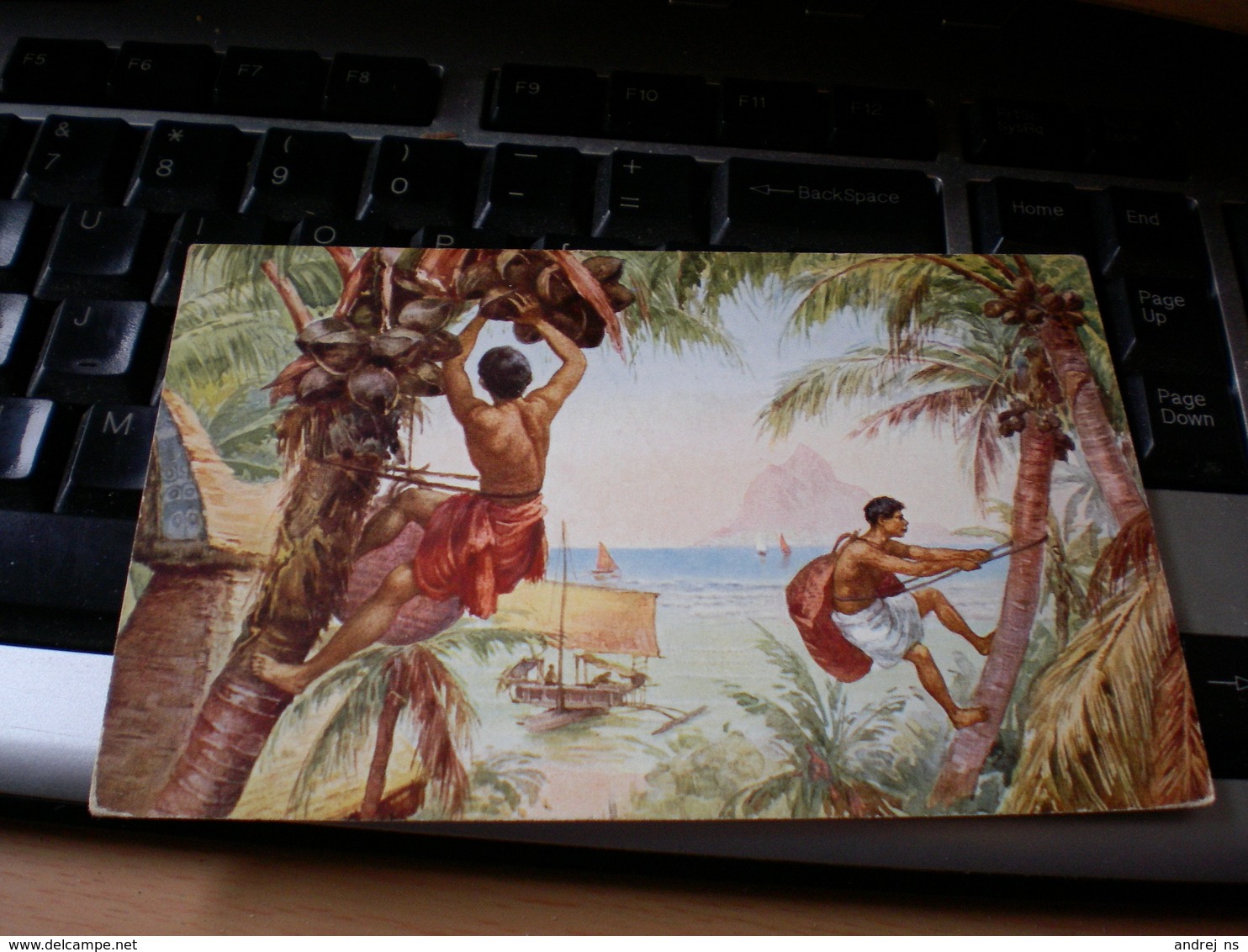 South Pacific Papuans On Coconut Palm Tree Vintage PC - Oceania