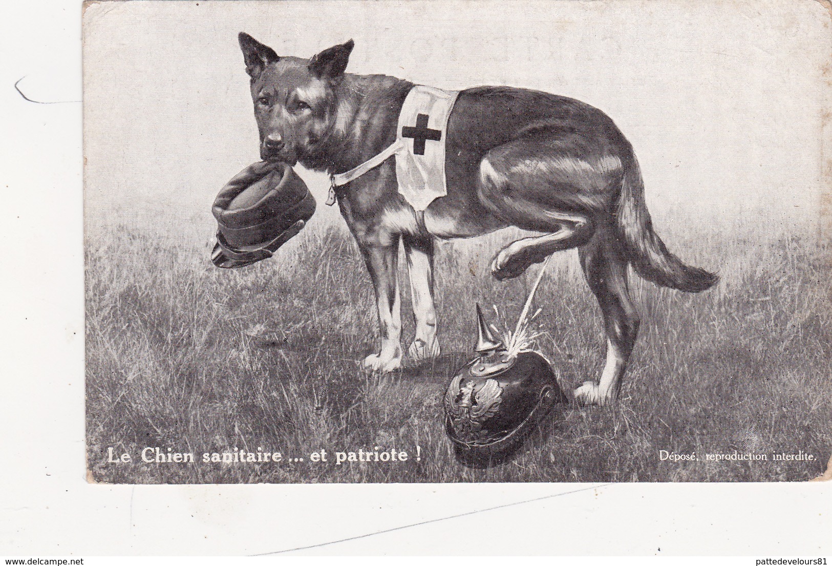 CPA Chien Sanitaire Qui Urine Sur Casque Allemand Dog Patriotisme Anti Germanique Anti Allemagne Guerre 14 Militaria - Chiens