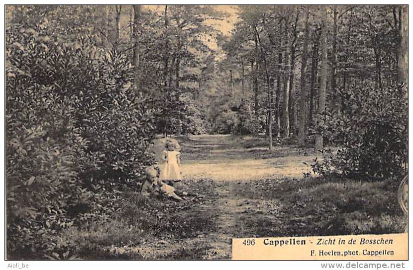 Cappellen. - Zicht In De Bosschen. -  F. Hoelen, Phot. Cappellen. - Kapellen