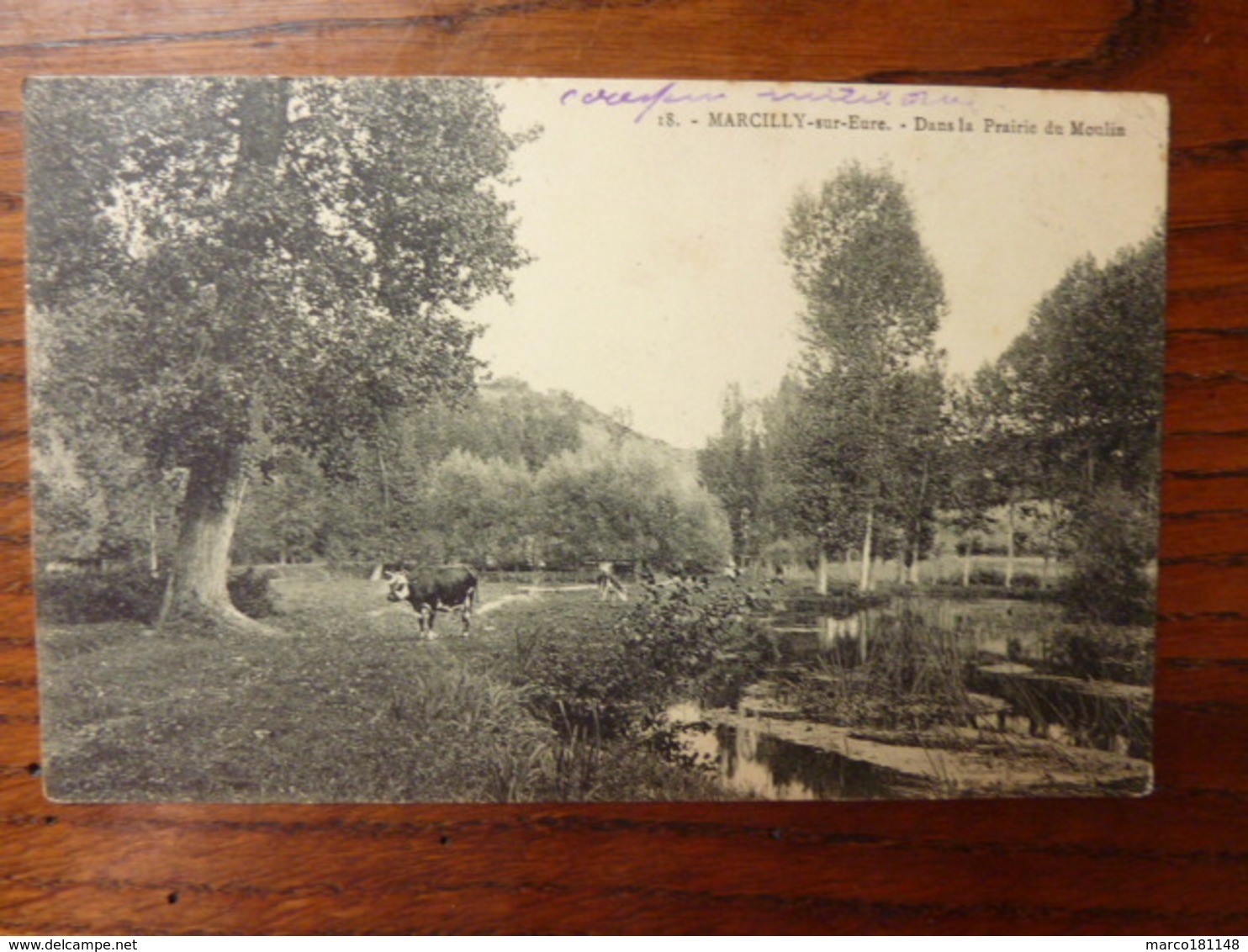 MARCILLY Sur EURE - Dans La Prairie Du Moulin - Marcilly-sur-Eure