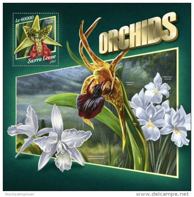 Sierra Leone 2017 Orchids S2017-11 - Sierra Leone (1961-...)