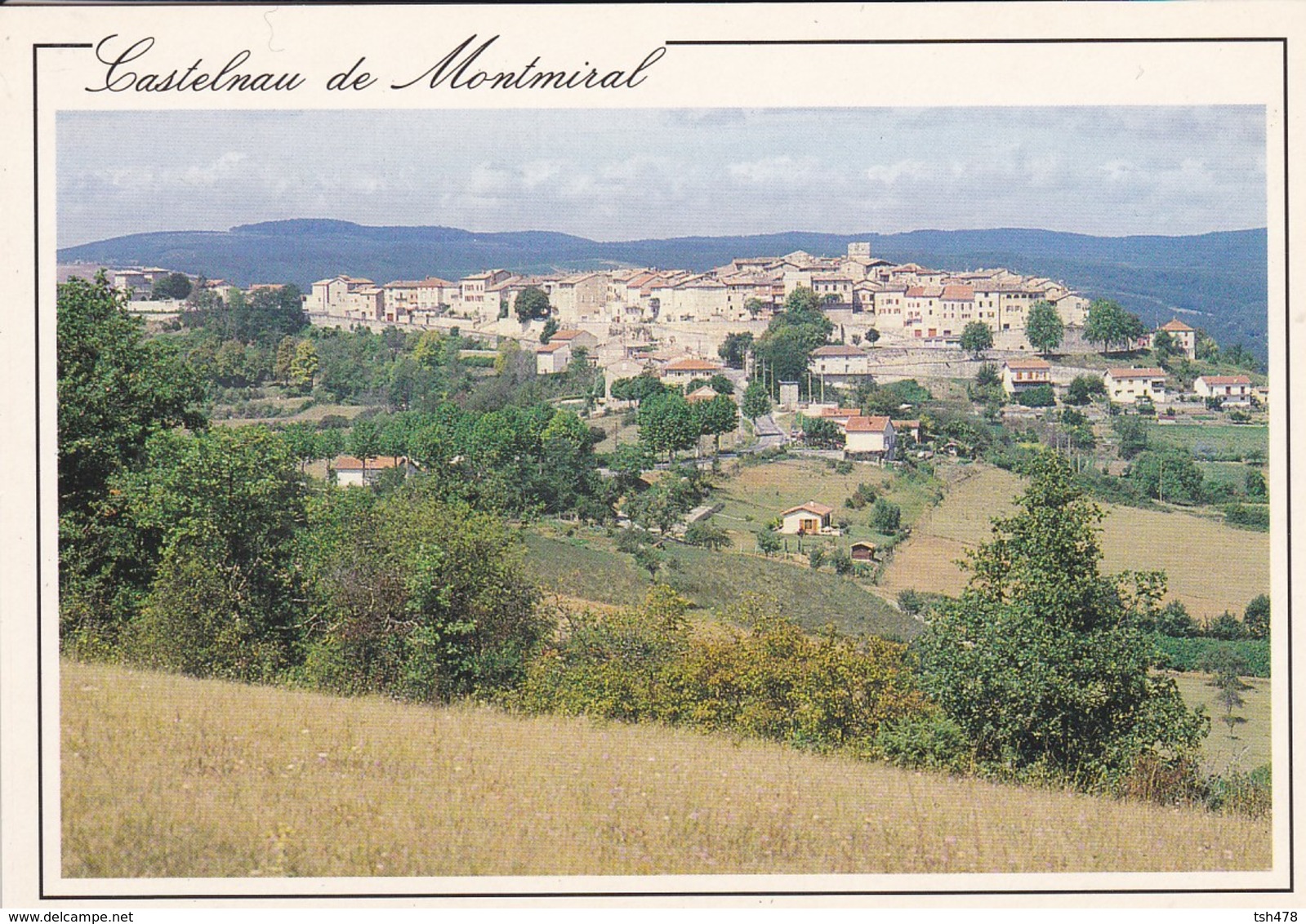 81----CASTELNAU DE MONTMIRAL--cité Médiévale--vue Générale--voir 2 Scans - Castelnau De Montmirail