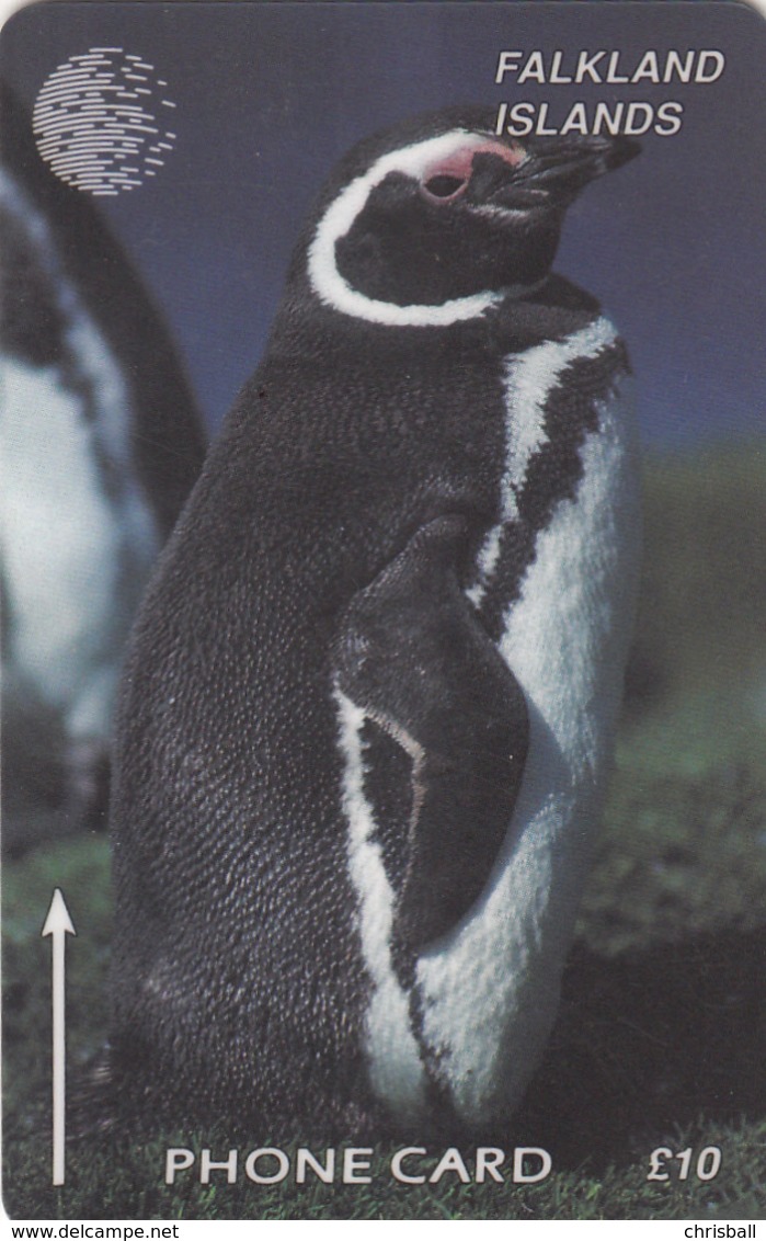 Falkland Islands Phonecard - Magellanic Penguin - 6 CWFA Fine Used - Falkland