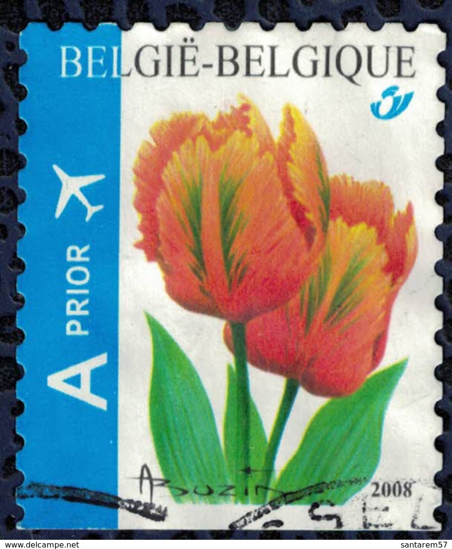 Belgique 2008 Oblitéré Used Prior A Tulipe Orange Favourite - Gebruikt