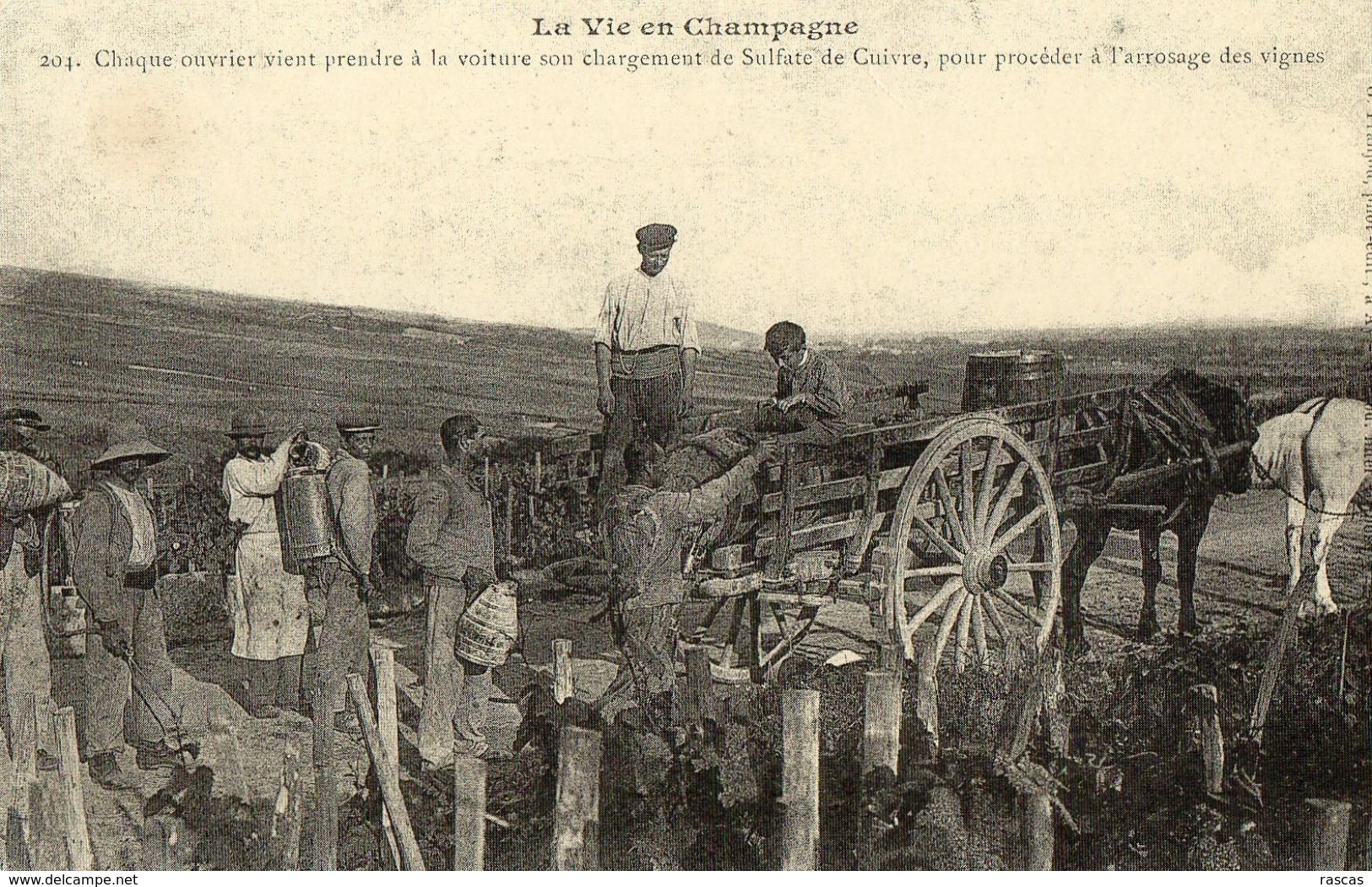 REPRODUCTION CARTE ANCIENNE - H11 - CARTES D'AUTREFOIS - CHAMPAGNE - SULFATAGE DES VIGNES - Champagne-Ardenne