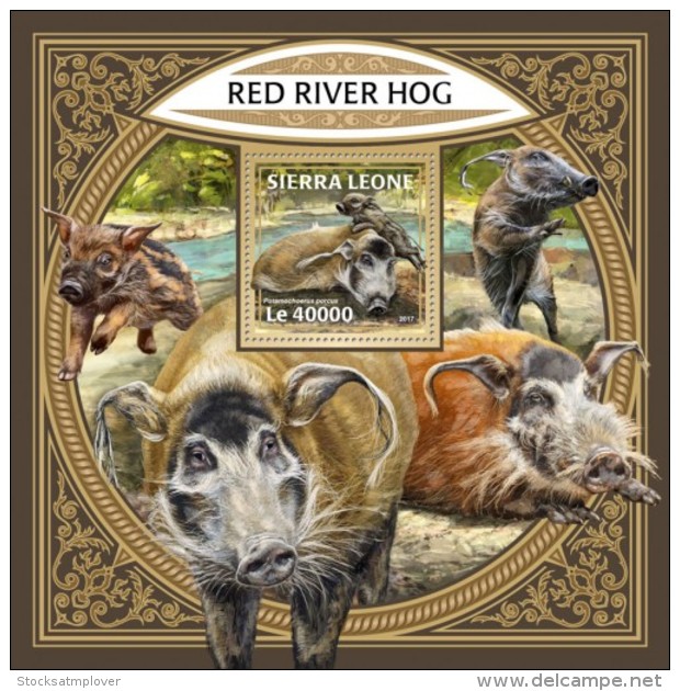 Sierra Leone 2018 Red River Hog S201801 - Sierra Leona (1961-...)