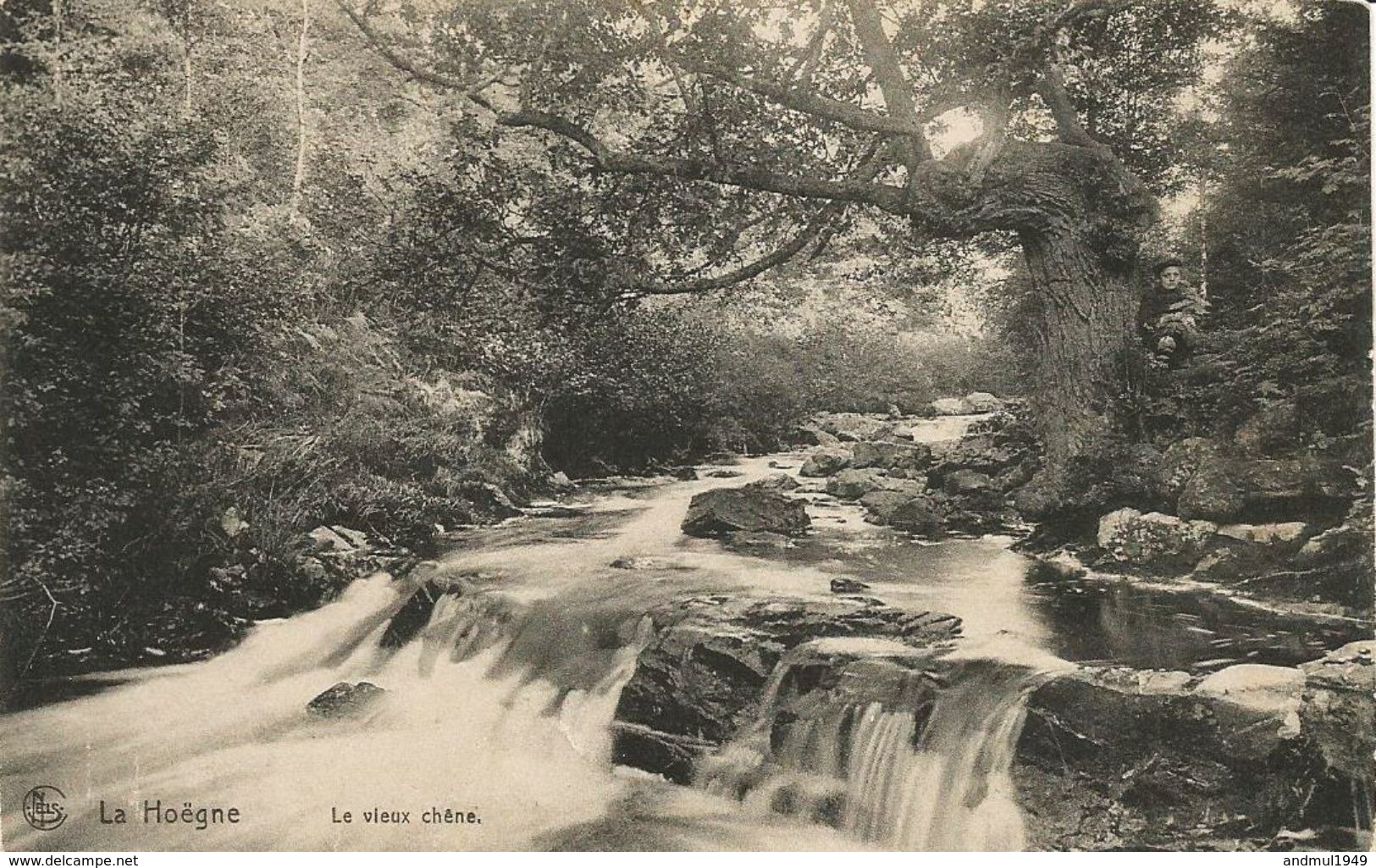 SART-lez-SPA - La Hoëgne - Le Vieux Chêne - N'a Pas Circulé - Nels, Série 27, N° 47 - Jalhay