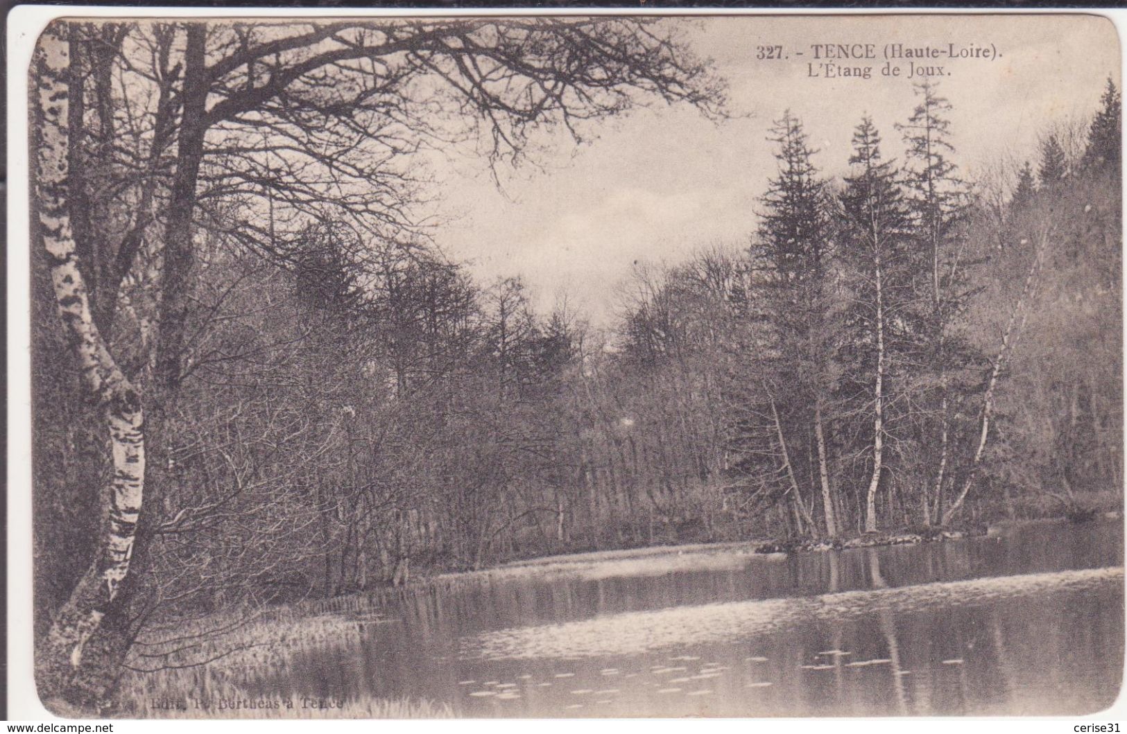 CPA -  327. TENCE (Hte Loire) - L'étang De Joux - Autres & Non Classés