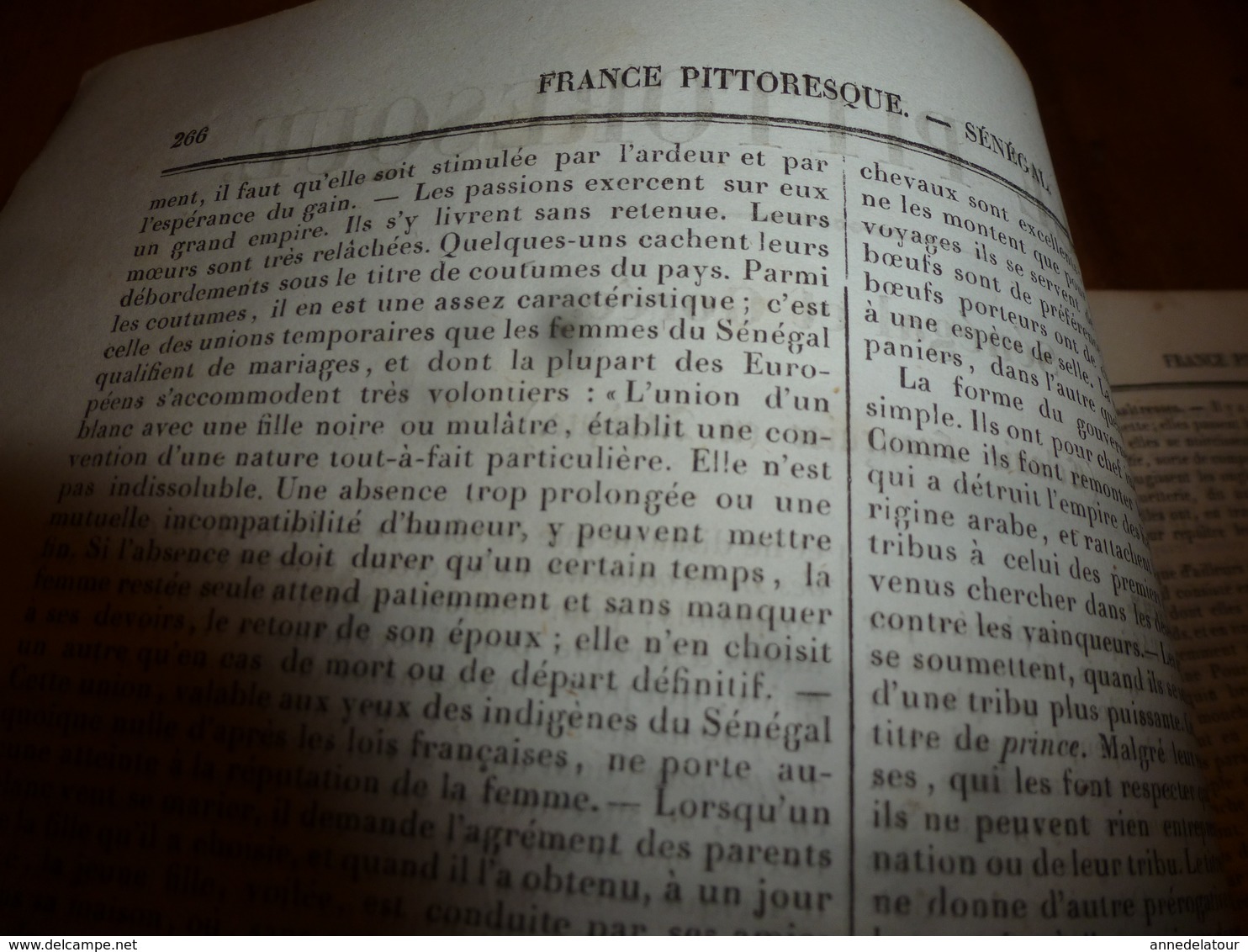 1935 FRANCE PITTORESQUE (Sénégal et Gorée) -Caractère-Coutumes-Langage-Histoire-Villes-Industrie-Bourgs-Escales,etc