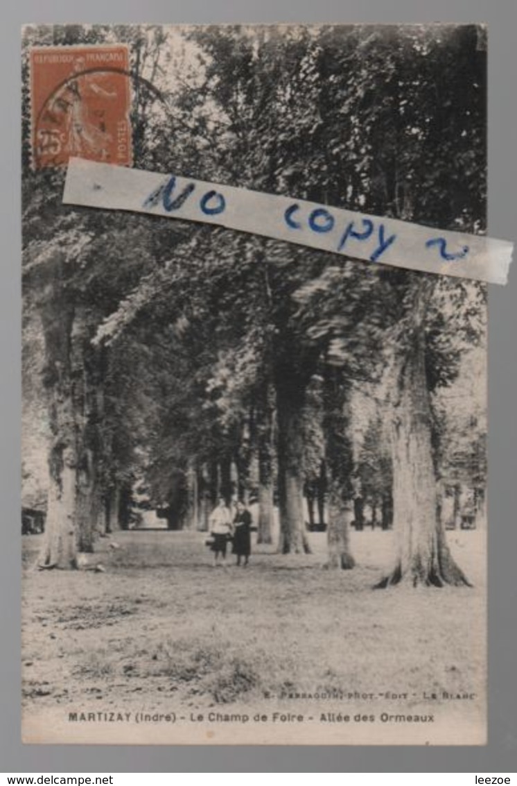 MARTIZAY LE CHAMP DE FOIRE.ALLEE DES ORMEAUX  (SP1) - Autres & Non Classés