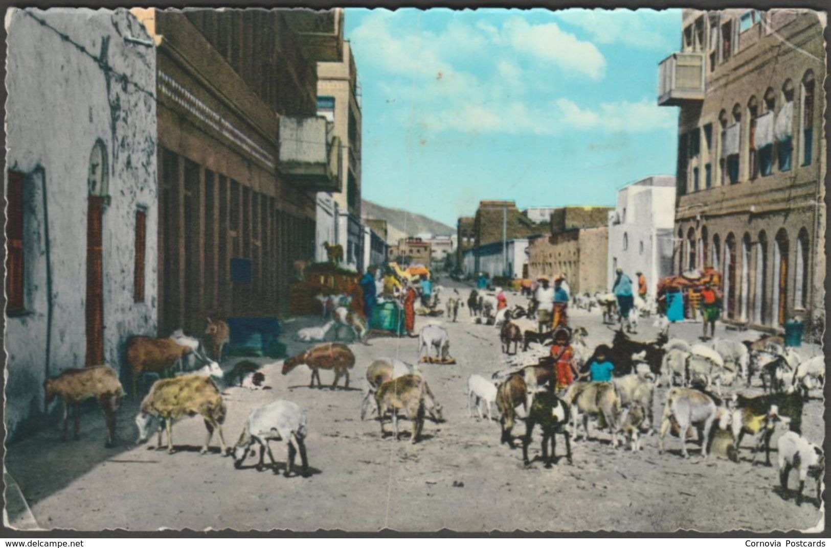 Street Scene At Maalla Village, Aden, 1962 - Dick Ketchian Postcard - Yemen