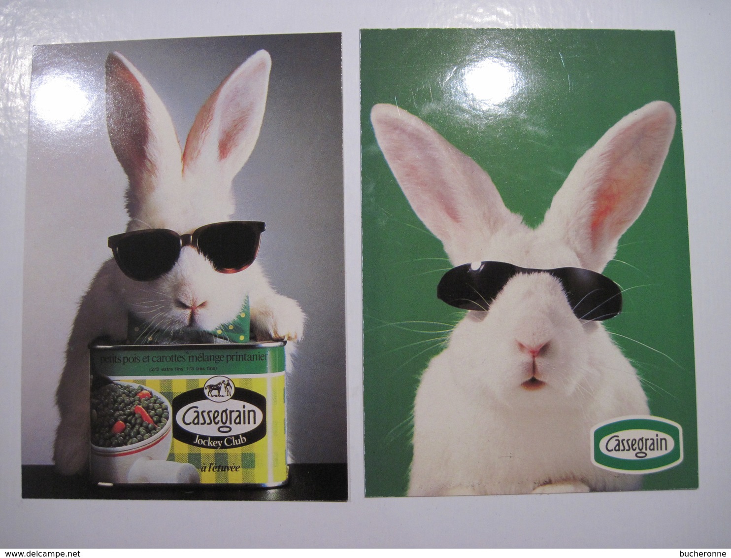 CPSM Publicité Conserve CASSEGRAIN Représentant Un Lapin Avec Des Lunettes De Soleil T.B.E. - Publicité