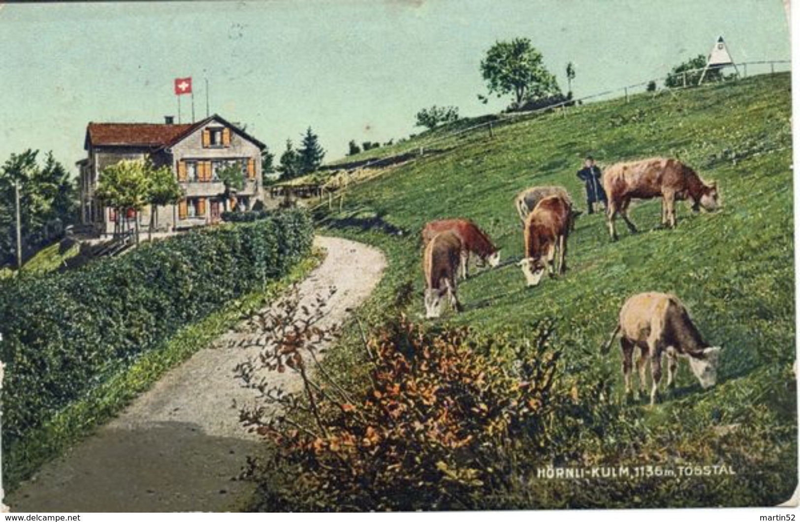 Schweiz Suisse 1920: HÖRNLI-KULM 1136m TÖSSTAL Mit O WINTERTHUR > RÜTI 29.XI.20 BAHNPOST - Kühe