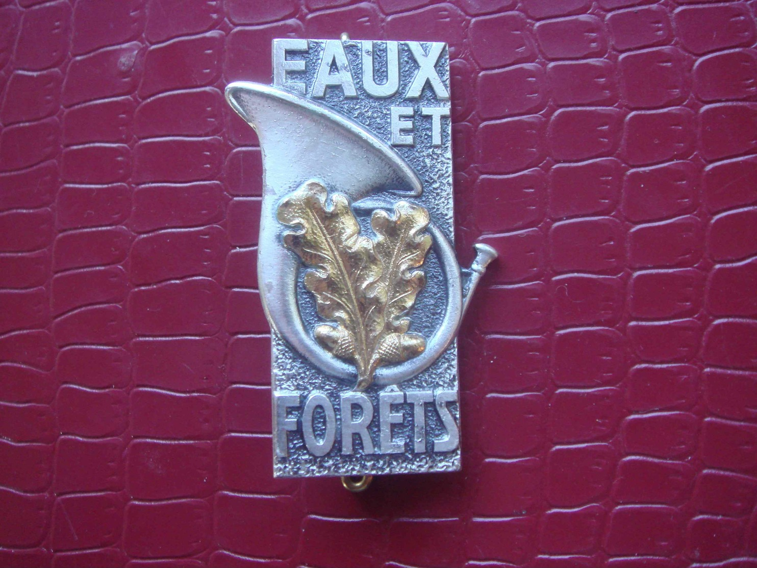 Insigne Des EAUX Et FORETS - Esercito