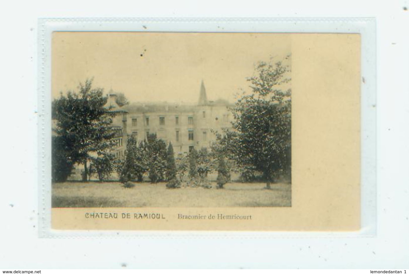 Chateau De Ramioul. Braconier De Hemricourt - Flémalle