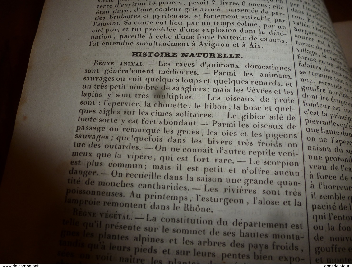 1935  VAUCLUSE (Histoire-Antiquités-Caractère-Langage-Curiosités-Industrie commerciale-Gravures-Variétés-Population-etc)