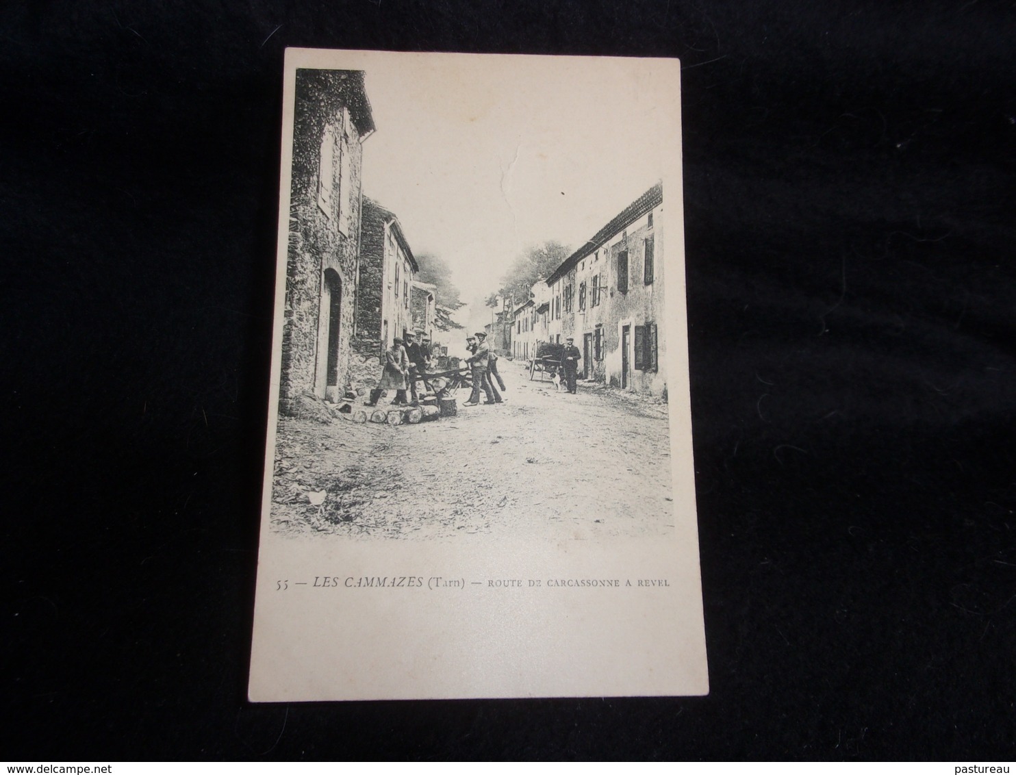 Les Cammazes .Route De Carcassonne à Revel . Les Scieurs De Bois . Avant 1904. Voir 2 Scans . - Autres & Non Classés