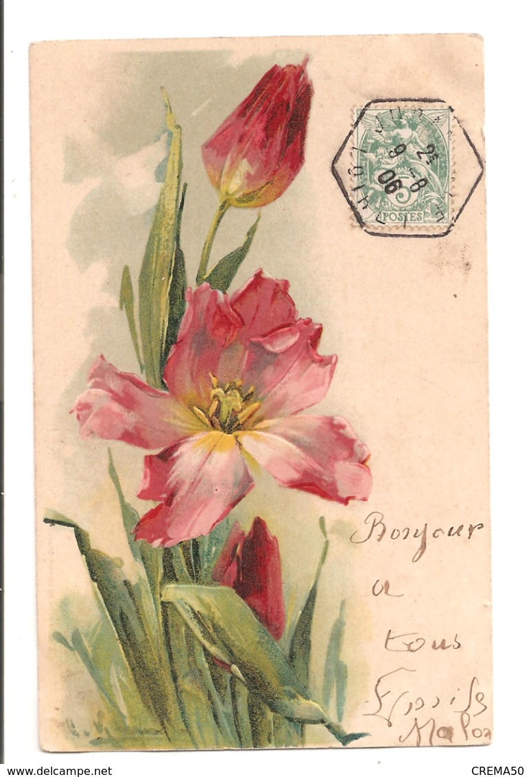 Illustrateur - KLEIN - Tulippes, Carte Gauffrée - Klein, Catharina