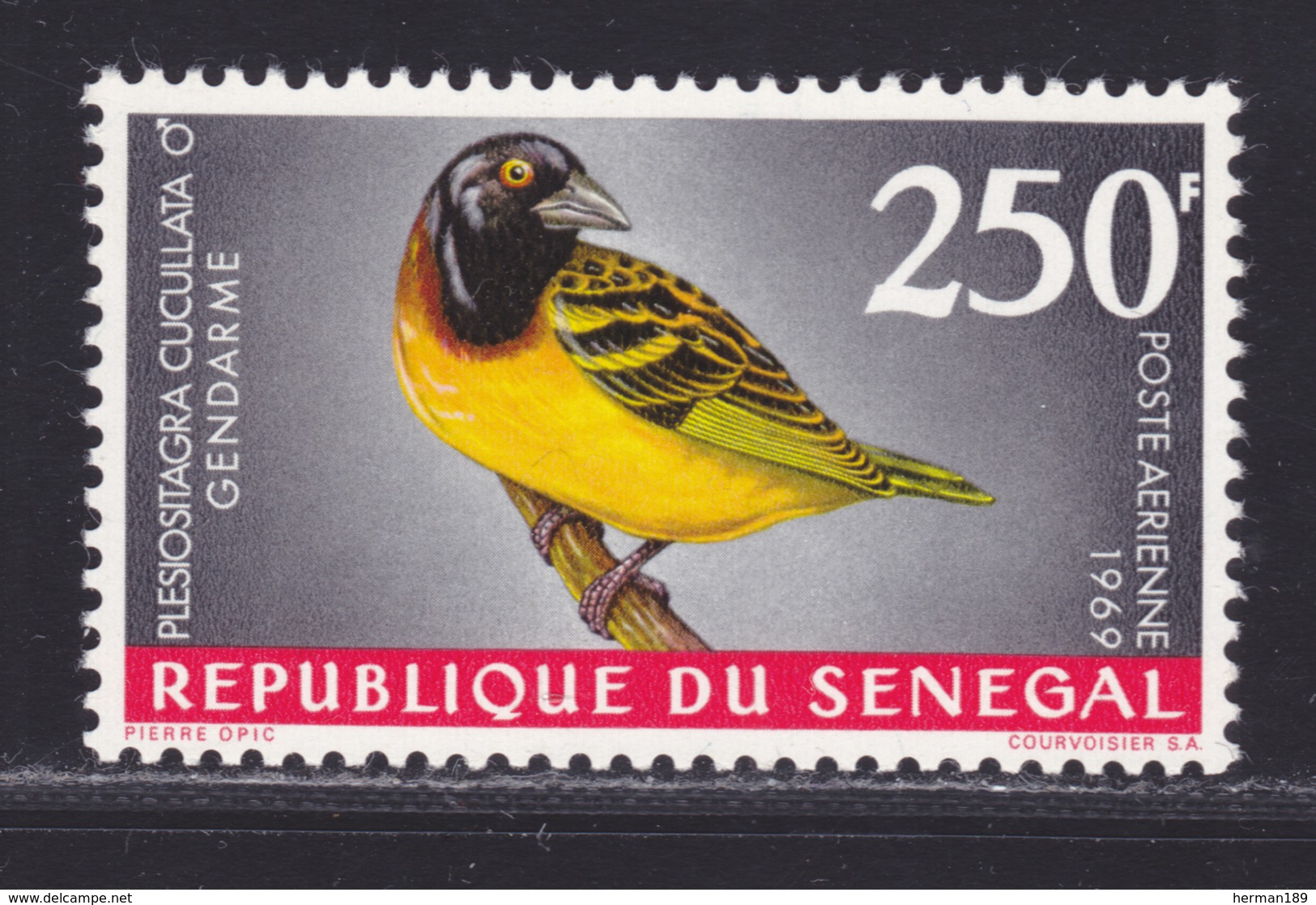 SENEGAL AERIENS N°   65 ** MNH Neuf Sans Charnière, TB (D5249) Oiseaux - 1968 - Senegal (1960-...)