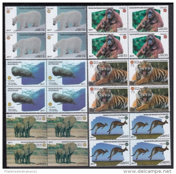 2017.169 CUBA 2017 MNH. BLOCK 4. FAUNA EN PELIGRO DE EXTINCION. CACHALOTE FISH, POLAR BEAR, TIGER, ALMIQUI, ORANGUTAN. - Unused Stamps