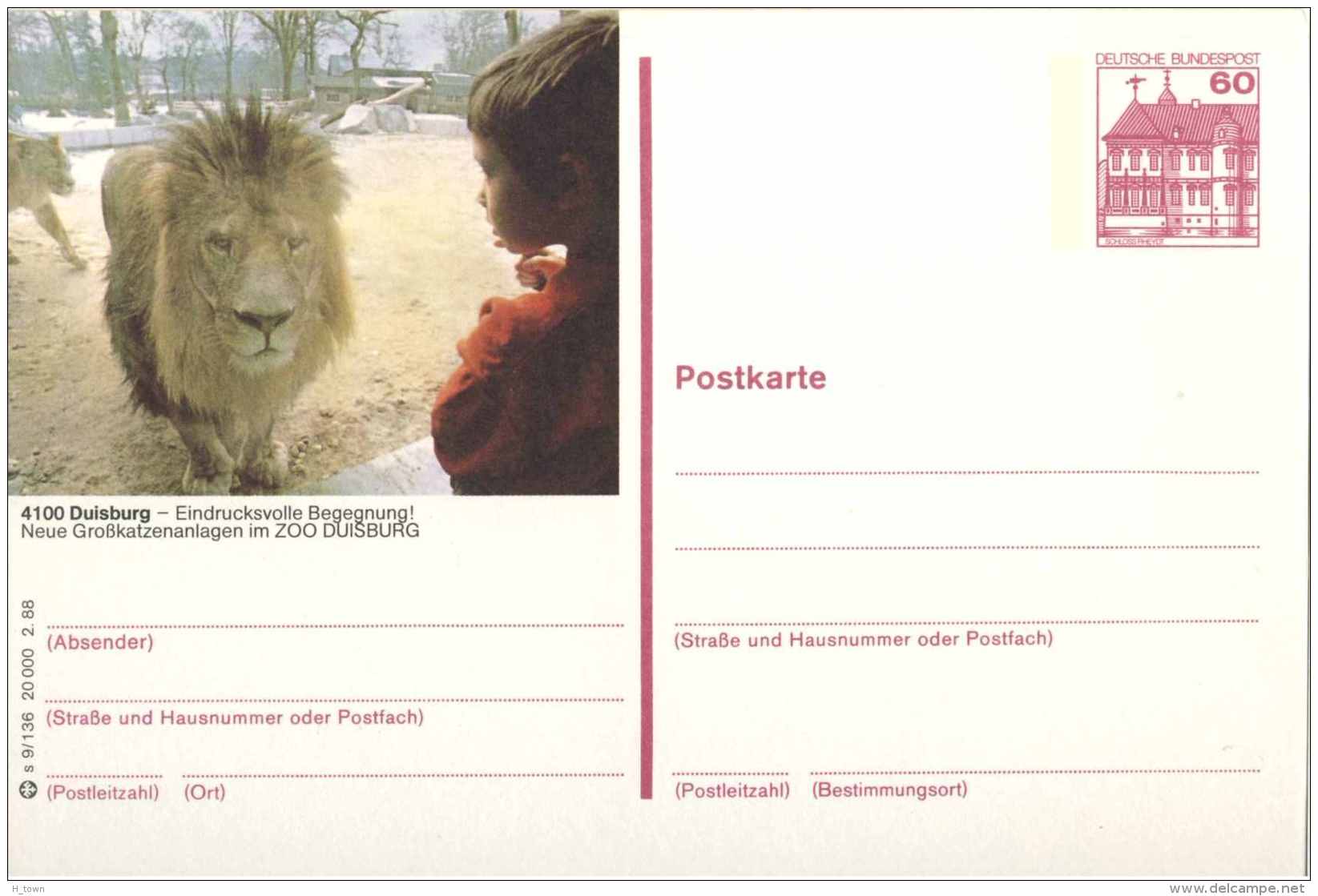 5188   Lion: Entier (c.p.) D'Allemagne, 1988 -  Lion, Zoo Duisburg  Stationery Postcard From Germany - Felini