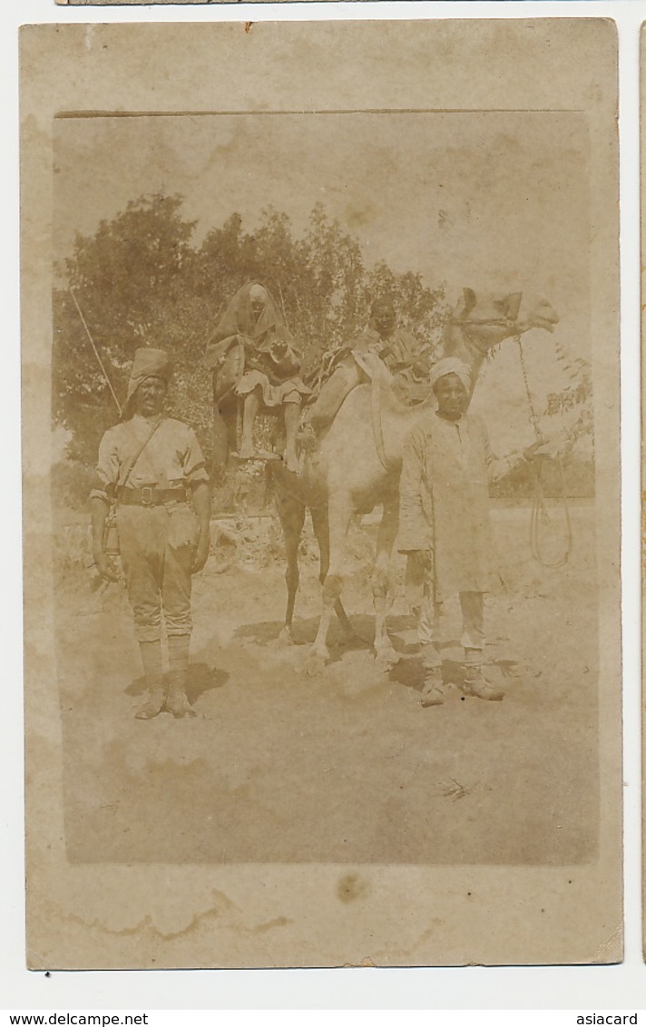Palestine Real Photo " Cacolet " Used For Evacuation Of Wounded Egyptian Labour Corps WWI 1916 - Palestine