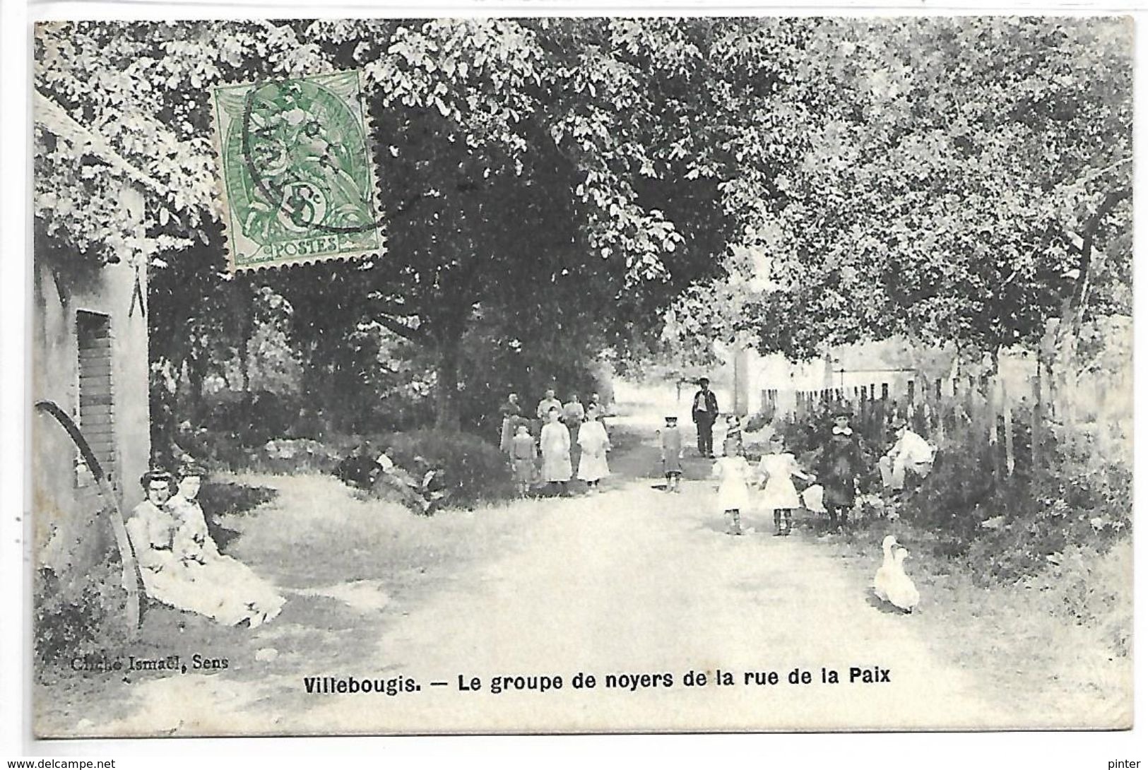 VILLEBOUGIS - Le Groupe De Noyers De La Rue De La Paix - Villebougis