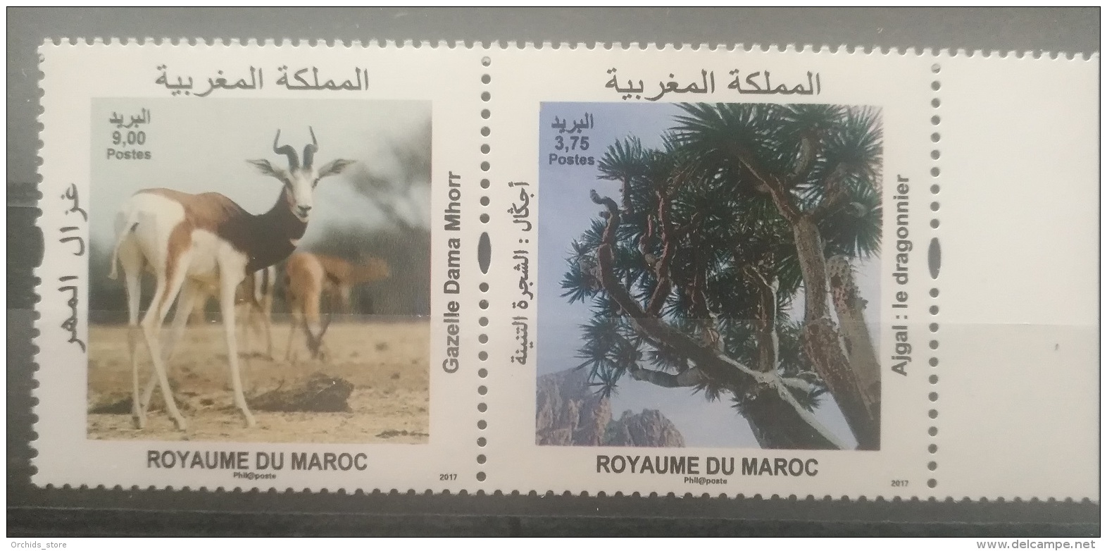 Morocco 2017 MNH Complete Set 2v. - Fauna &amp; Flora, Gazelle Animal &amp; Ajgal Tree - Morocco (1956-...)