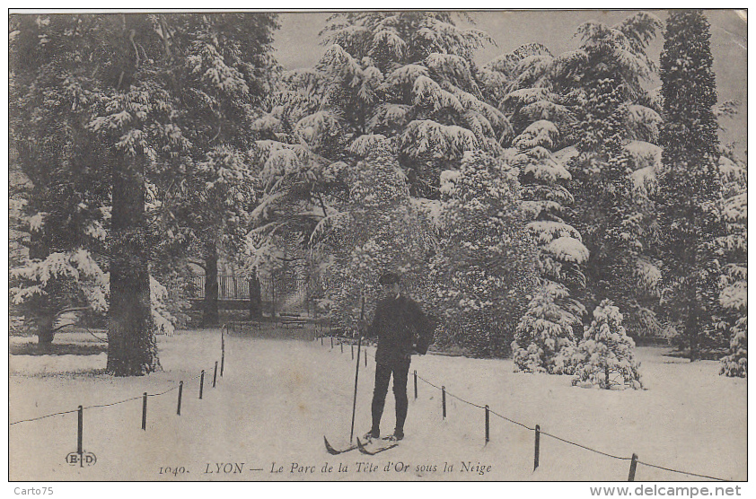 Sports - Hiver - Ski Neige - Lyon Parc De La Tête D'Or - 1914 - Sports D'hiver