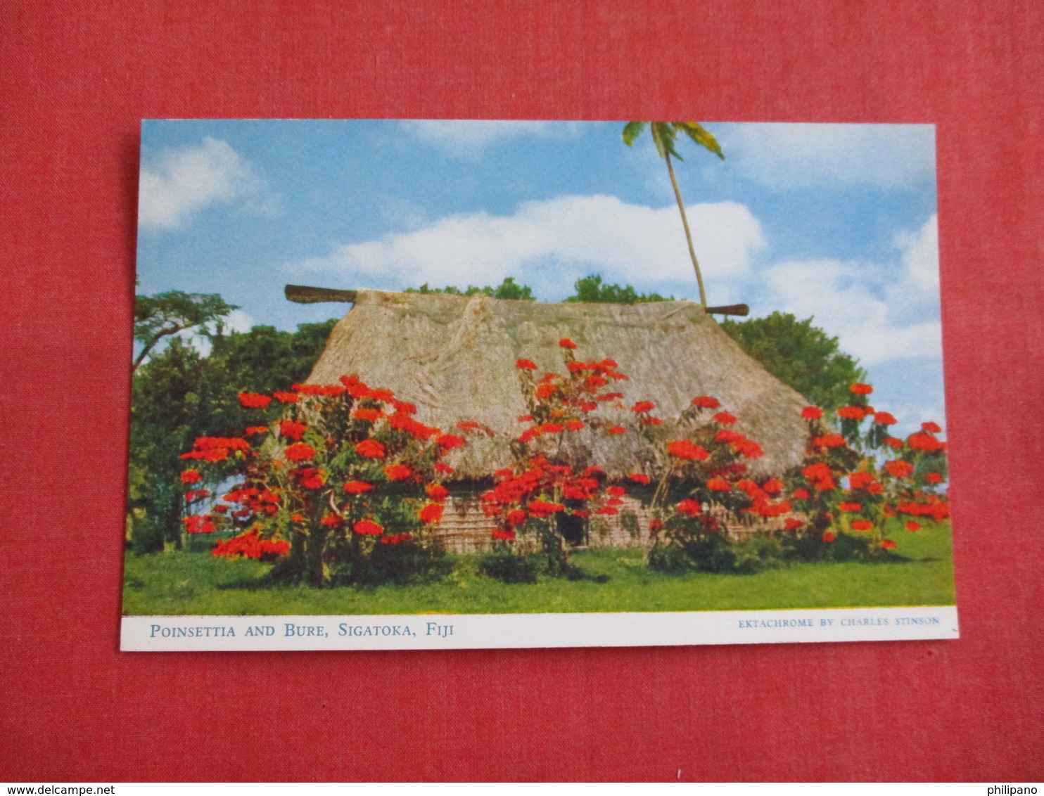 > Fiji Poinsettia &  Bure Sigatoka   Ref 2858 - Fiji