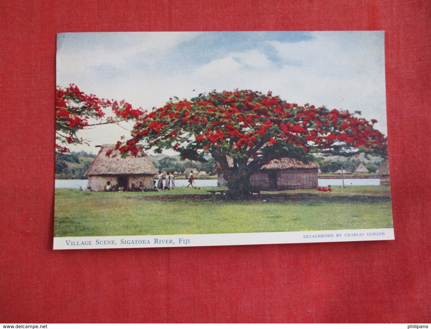 > Fiji Village Scene  Sigatoka River  Ref 2858 - Fiji