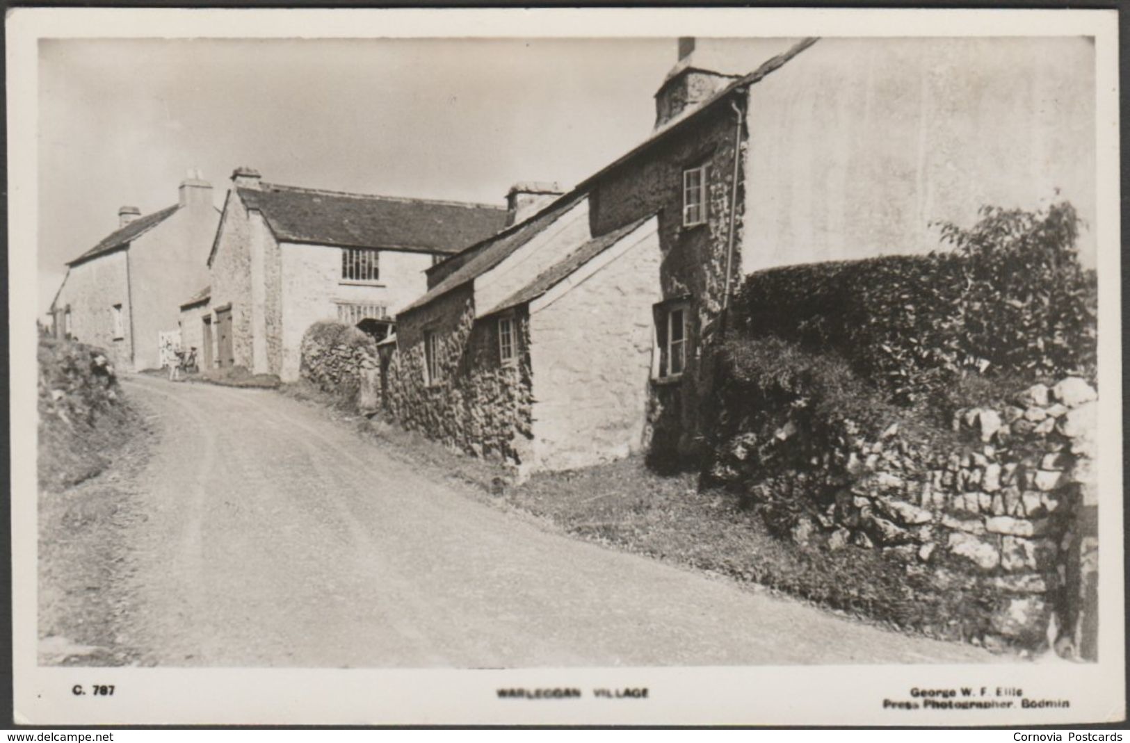 Warleggan Village, Cornwall, C.1950 - Ellis RP Postcard - Other & Unclassified