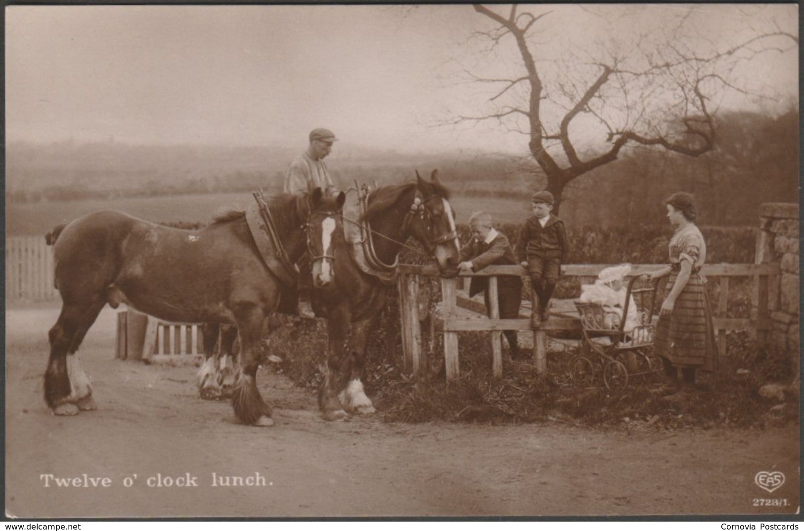 Twelve O' Clock Lunch, C.1910 - Schwerdtfeger RP Postcard - Horses