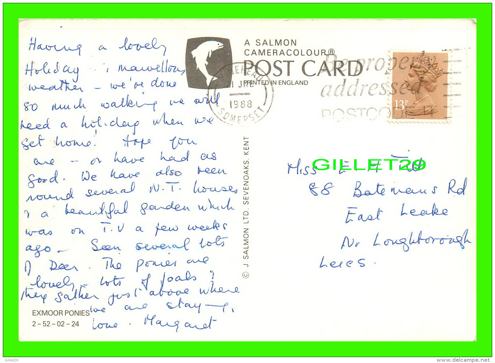CHEVAUX - HORSES - EXMOOR PONIES -  TRAVEL IN 1988 - A SALMON POST CARD - - Chevaux
