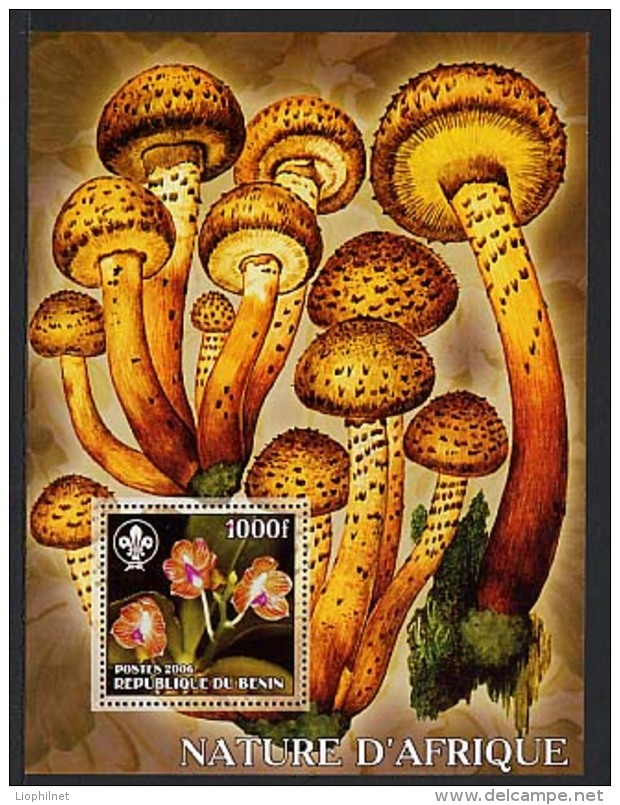 2006, CHAMPIGNONS  / MUSHROOMS, FANTAISIE / CINDERELLA, 1 Bloc, Neuf / Mint. Rben2124 - Vignettes De Fantaisie