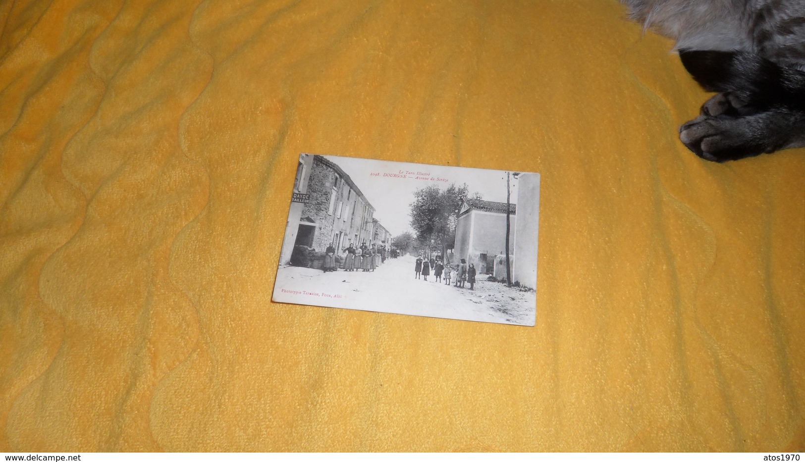 CARTE POSTALE ANCIENNE NON CIRCULEE DATE ?. / DOURGNE.- AVENUE DE SOREZE. - Dourgne