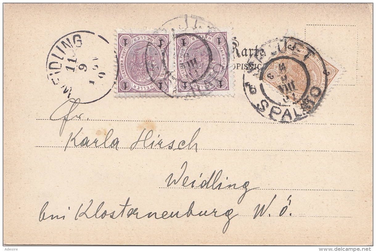 SALONA - Gel.1901 Von Spalato Nach Weidling, Seltene 2x1 + 3 Heller Frankierung - Croatie