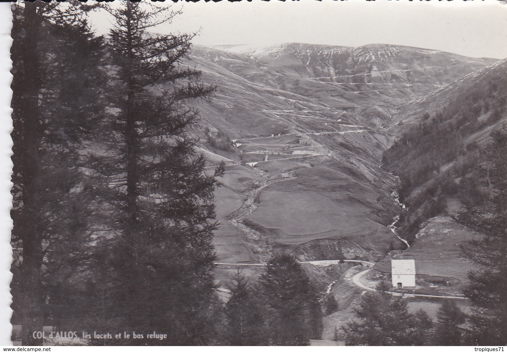 BASSES ALPES 04 COL D'ALLOS FORET DE VACHERESSE MASSIF LE LOT DE 4 BELLES CARTES RARE !!! - Autres & Non Classés